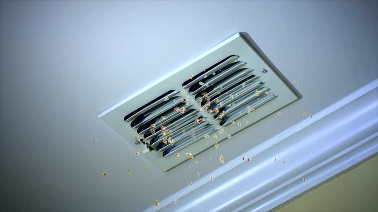 Best Duct Cleaning for Offices  in Helemano, HI